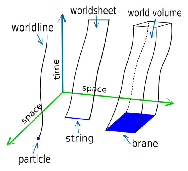 Мировая линия, мировой лист, и мировой объем, заметаемый точечной частицей, струной и бранной соответственно.