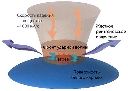 Вещество, падающее на белый карлик с больших расстояний, разгоняется до скоростей в тысячи километров в секунду. Удар о поверхность белого карлика создаёт ударную волну, разогревающую вещество до сотен миллионов градусов. Рентгеновское излучение миллионов таких источников регистрируется приборами обсерватории «Интеграл» как слабое свечение хребта Галактики