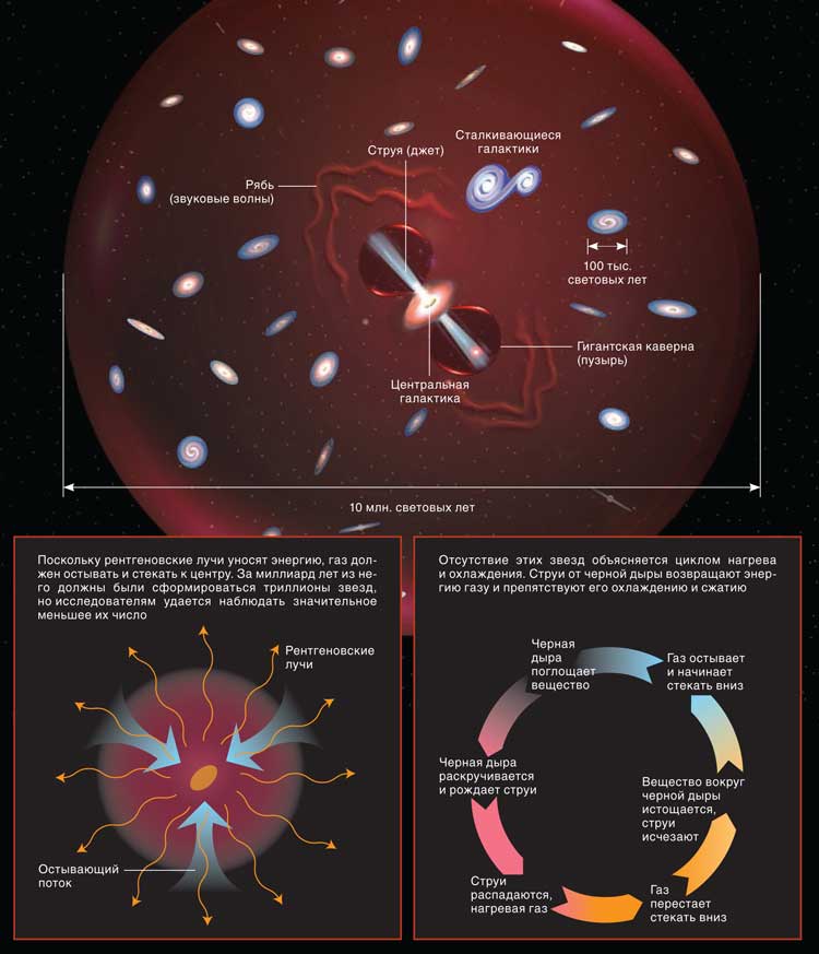 АНАТОМИЯ СКОПЛЕНИЯ