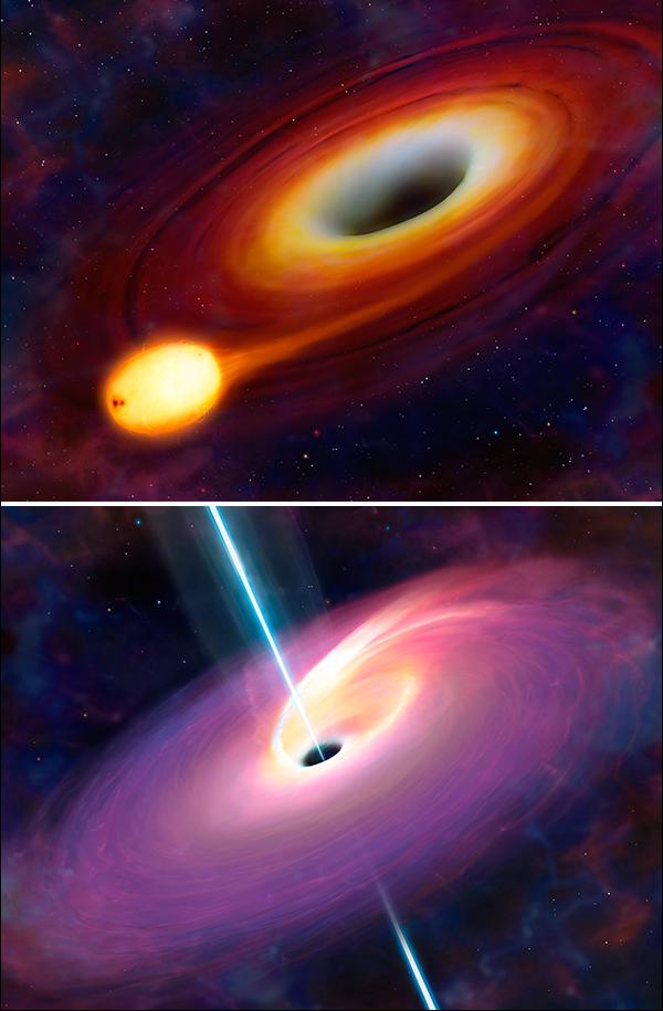 Разрушение звезды, которая подошла к чёрной дыре, и следующее за этим образование джетов (иллюстрация University of Warwick / Mark A. Garlick).