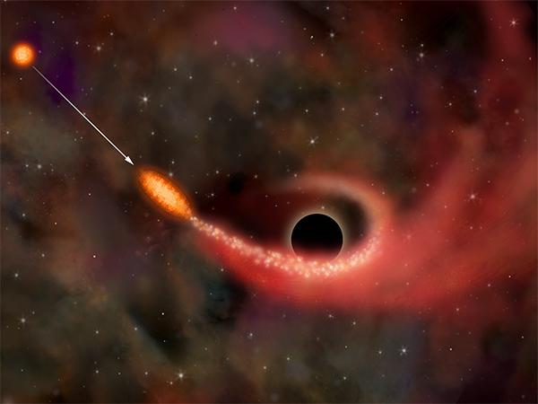 Приливное разрушение звезды, сблизившейся с чёрной дырой (иллюстрация НАСА / CXC / M. Weiss).