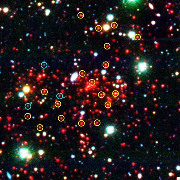 SPT-CL J0546-5345, одно из самых массивных удалённых скоплений галактик. Принадлежащие ему галактики со «старым» звёздным населением, похожие на современные эллиптические, отмечены жёлтым, а галактики с «молодым» населением, соответствующие современным спиральным, — синим.